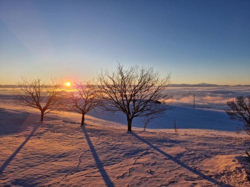 Tres árboles en la nieve con la puesta de sol en el fondo en Coup d'œil en Bullet