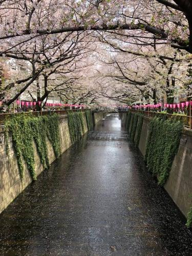 Tanuki Shinjuku
