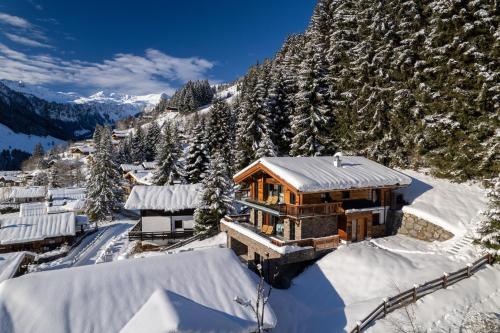 Lavender Hill - Summer holiday & ski villa chalet photo 3