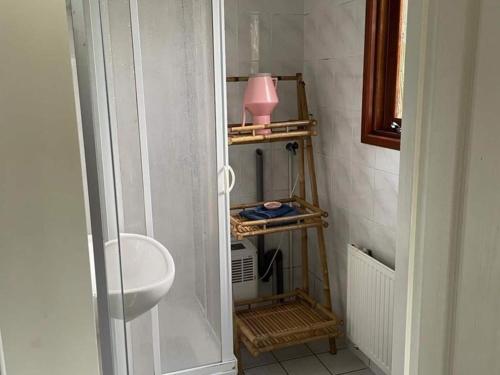 een kleine badkamer met een wastafel en een toilet bij Spacious Chalet in Garderen with Fenced Garden in Garderen