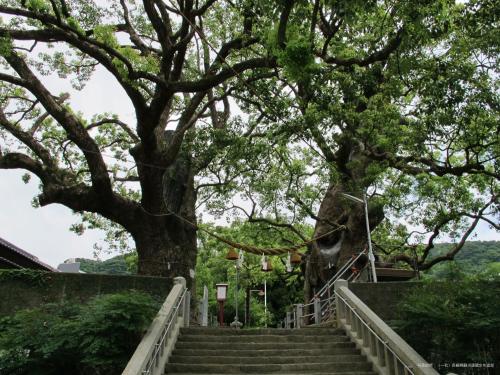 Un jardín fuera de Hotel Concerto Nagasaki