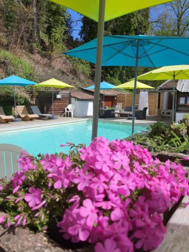 Villa Rosa Trois Epis