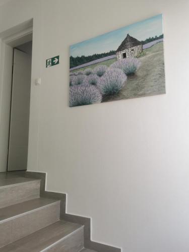 Gambar di galeri bagi Apartmani Eden Vrsi Mulo di Vrsi