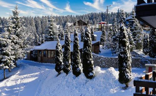a group of trees covered in snow in front of a house at Eko-FIS Vlašić in Vlasic