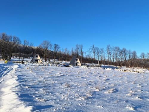 a snow covered field with houses in the background at Domki na Sudeckiej Polanie in Stronie Śląskie