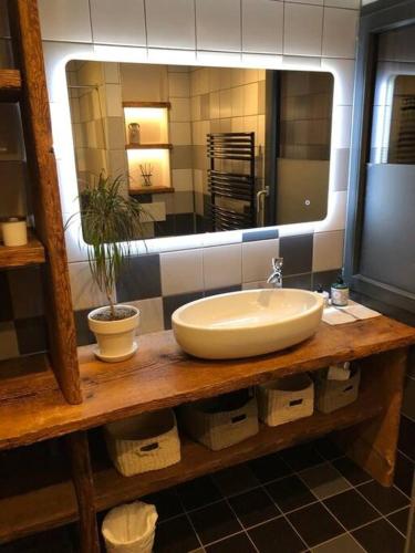 une salle de bain avec un lavabo et un grand miroir dans l'établissement Laya'ppart, à Boëge