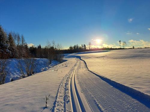 a road in a snow covered field with the sun in the background at ZELTA KROGS in Brekti