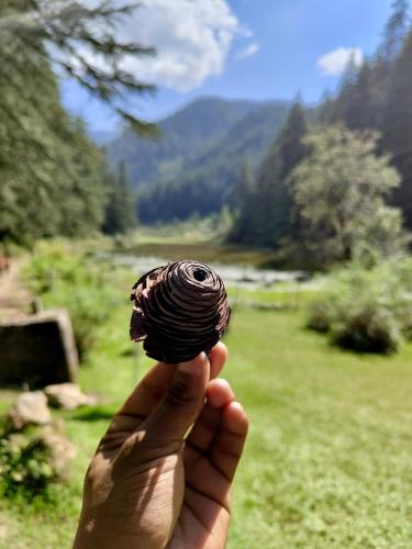 a hand holding a chocolate covered object in a field at Sainj Riverside Cottages in Sainj