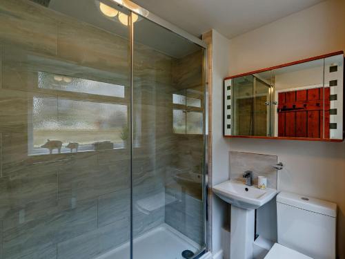 a bathroom with a shower and a toilet and a sink at 2 Bed in Bridgnorth 91551 in Bridgnorth