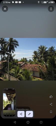 a view of a house with palm trees at Muru's Place in Dickwella