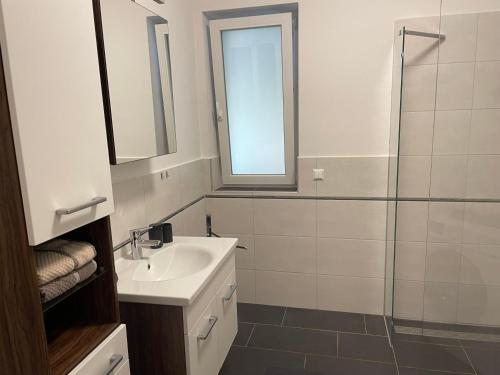 a bathroom with a sink and a glass shower at Sorinas Home WB7 Top6 in Wagersbach