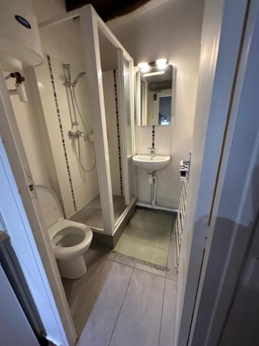 a bathroom with a toilet and a sink at Loft sur Notre-Dame/Saint-Michel in Paris