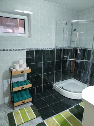 a bathroom with a shower and a toilet and a sink at Casa Kasandra in Buşteni