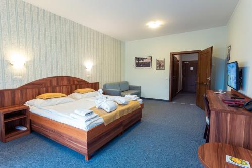 a hotel room with a bed and a desk at Hotel Studanka in Rychnov nad Kněžnou
