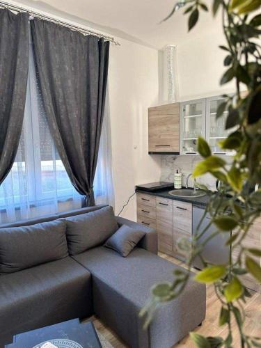 Una sala de estar con un sofá y una cocina. en Apartmani M.&.B Luks, en Mataruška Banja