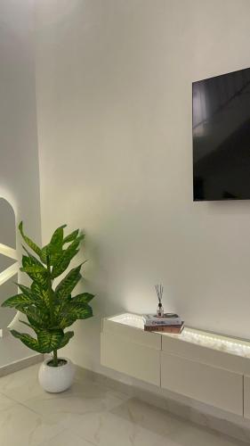 a green plant in a white room with a tv at Geminge shortlet in Port Harcourt
