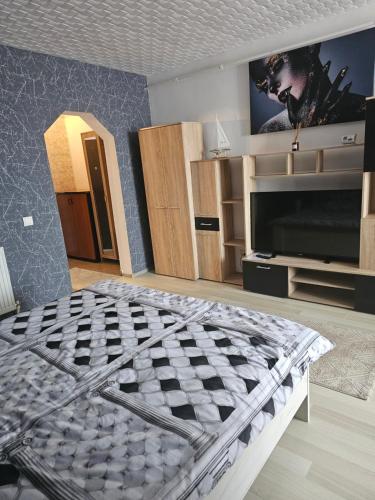 1 dormitorio con 1 cama grande y TV en Garsoniera Dary strada Mihai Bravu bloc G1 Vis a Vis de ROYAL PALACE, en Turnu Măgurele