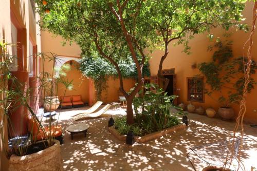 a courtyard with trees and plants in a building at Ryad El Borj in Marrakech