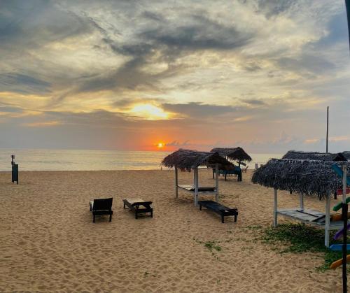a beach with chairs and straw umbrellas and the ocean at Sea Shine Guest House in Hikkaduwa