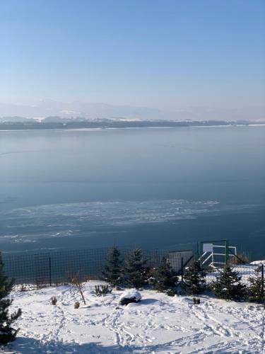 a view of a body of water with snow and trees at Zrub JESPER in Liptovský Trnovec