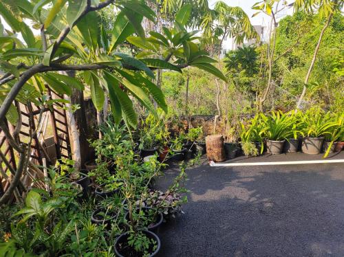 a garden with a bunch of plants and trees at The Beach House in Chennai