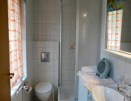 uma casa de banho com um chuveiro, um WC e um lavatório. em Ferienwohnung in Plau am See em Plau am See