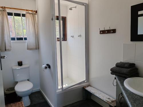 uma casa de banho com um chuveiro, um WC e um lavatório. em DAN EN WAN em Oyster Bay