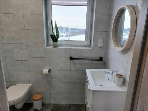 łazienka z umywalką, toaletą i oknem w obiekcie Zasankowe Wzgórze w mieście Zasań