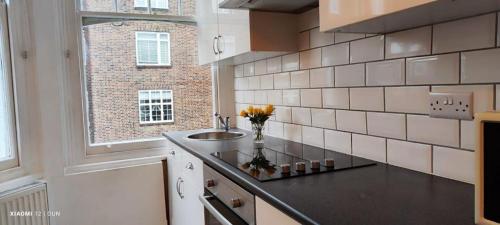 cocina con fregadero y ventana en Glenmore Suites, en Londres