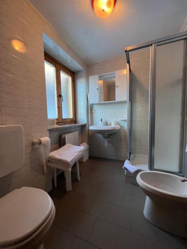 a bathroom with a shower and a toilet and a sink at Hotel Ondezana in Cogne