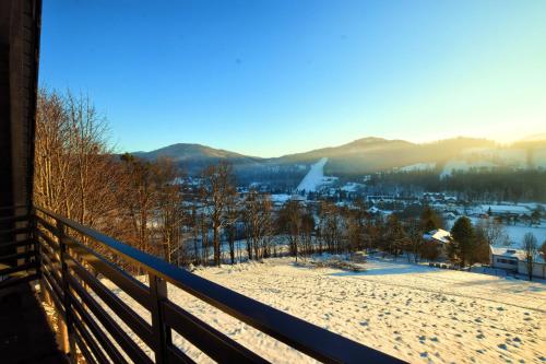 a view from the balcony of a house in the snow at Dom Camelowo Willa in Brenna