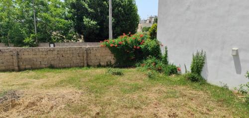 a retaining wall with flowers next to a building at L' Appoggio - Monolocale Eco-sostenibile A Due Passi Dal Centro Storico in Corsano