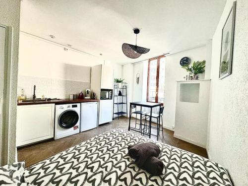 Cette chambre dispose d'une cuisine avec un lit. dans l'établissement Très grand studio à deux pas de la place de Jaude Puits Artesien, à Clermont-Ferrand