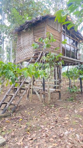 Giardino di Lotus Jewel Forest Camping