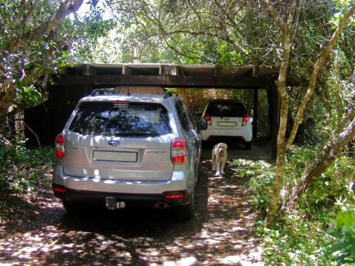ein Auto im Wald mit einem Hund darunter geparkt in der Unterkunft 22 Arum Street Nature’s Valley in Natureʼs Valley