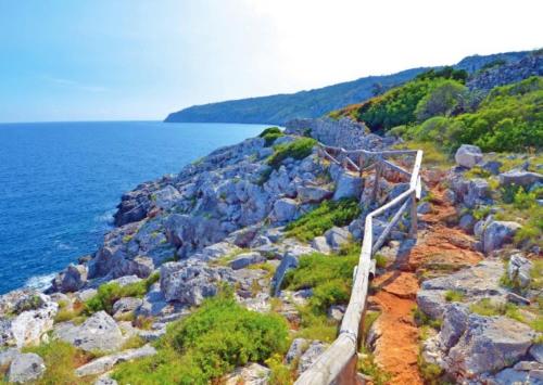 a wooden path on a rocky cliff next to the ocean at L' Appoggio - Monolocale Eco-sostenibile A Due Passi Dal Centro Storico in Corsano