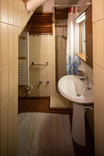 a bathroom with a sink and a shower at Chalet Corona in Giustino