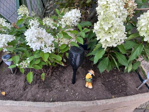 a small figurine in a garden with flowers at The Peaceful Garden Stay & Free Parking in Salzburg