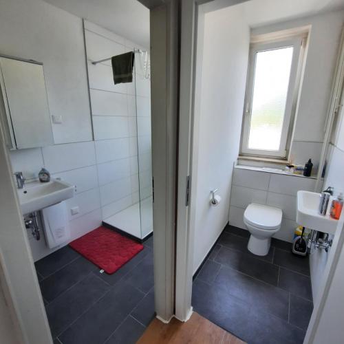 Un baño con ducha, inodoro y lavabo. en Allgäu Auszeit, en Sonthofen