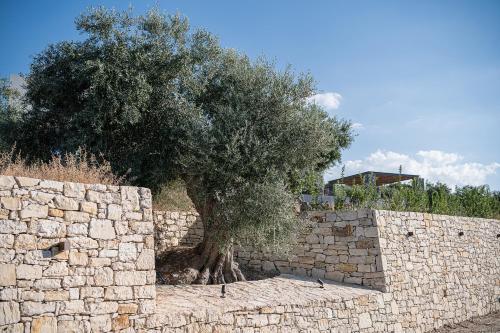 a tree in front of a stone wall at Brand new Villa Eleftheria BY APOKORONAS-VILLAS in Plaka