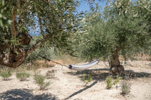 a hammock hanging from a tree in a field at Brand new Villa Eleftheria BY APOKORONAS-VILLAS in Plaka