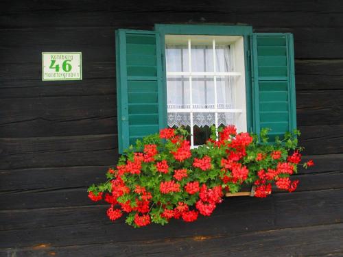 Holiday home in Styria – Photos 2