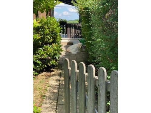 Holiday home Unger – Photos 4