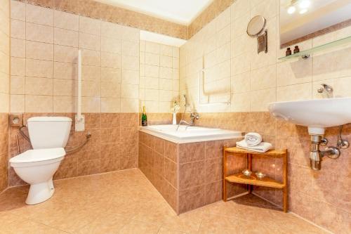 a bathroom with a toilet and a sink at Hotel Panská in Bechyně