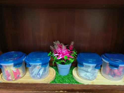 a group of four blue jars with a plant in them at IRDINA HOMESTAY forMuslims - Changlun in Changlun