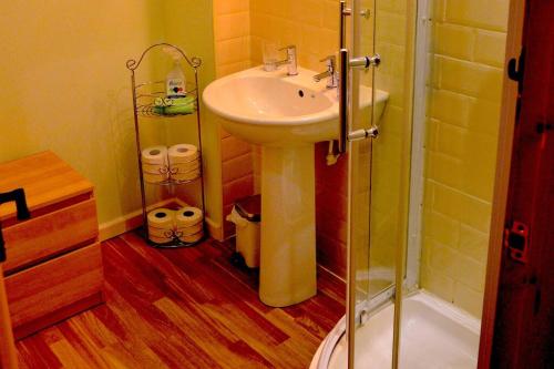 a bathroom with a sink and a glass shower at Hafannedd Cottage - riverside views in Corwen