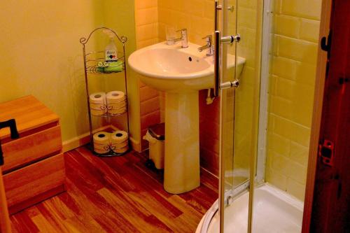 a bathroom with a sink and a glass shower at Hafannedd Cottage - riverside views in Corwen