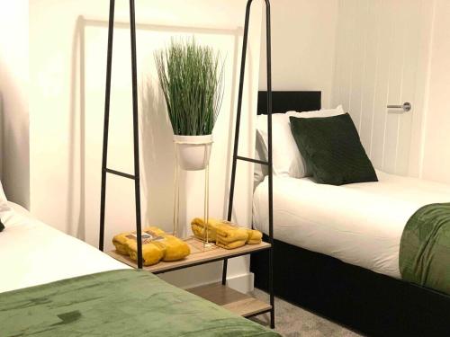 ein Schlafzimmer mit 2 Betten und einer Pflanze auf einem Tisch in der Unterkunft The Hughenden Townhouse / Free Parking / Wifi in Leicester