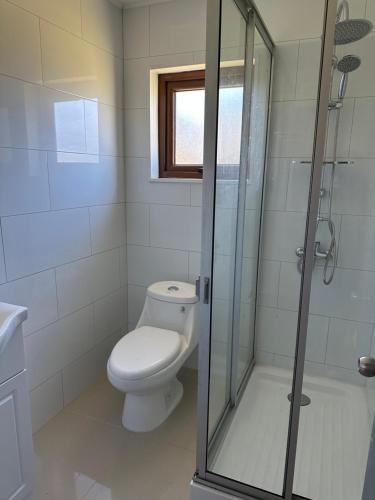 a bathroom with a toilet and a glass shower at Cabañas Renacer Puerto Varas in Puerto Varas