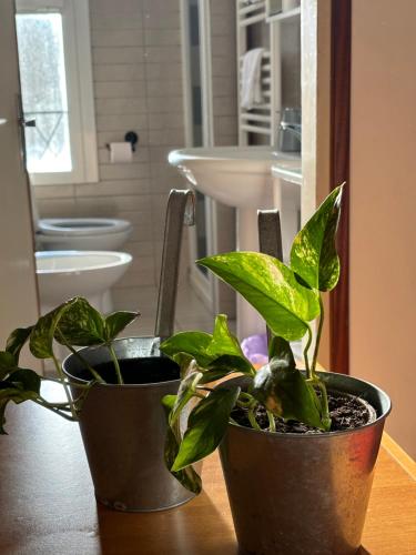 two potted plants sitting on a table in a bathroom at Locanda Caffe Sport in Volpago del Montello